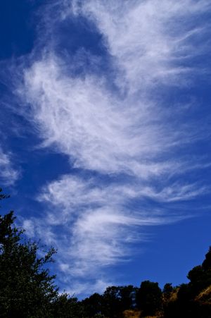 WS Wind and Sky - 02.jpg